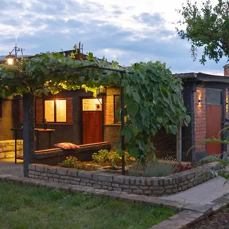 House With Garden 