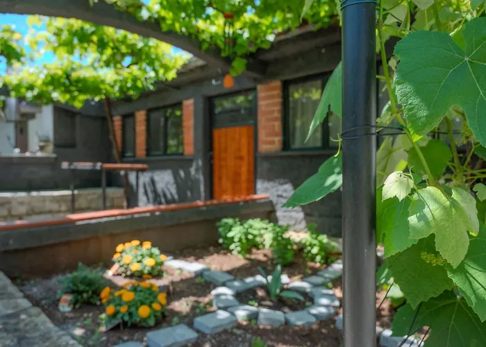 House With Garden 