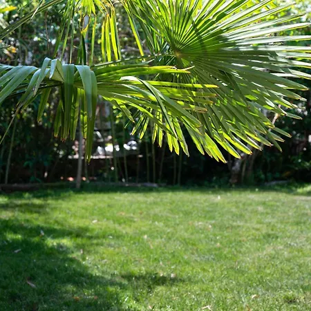 Semesterbostad House With Garden 