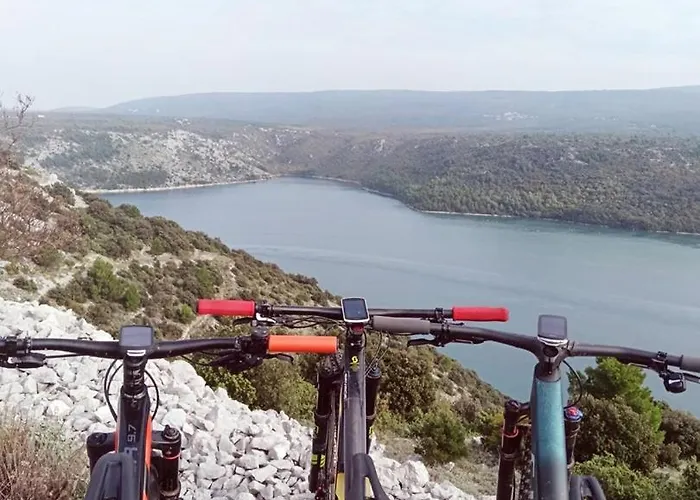 Будинок відпочинку House With Garden 