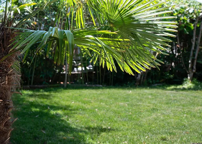 Semesterbostad House With Garden 